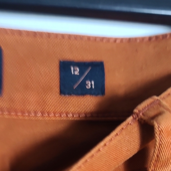 LUCKY BRAND Rust Orange Colored Pants With Blue Stripes Down Side Size 12/31 - Picture 3 of 16